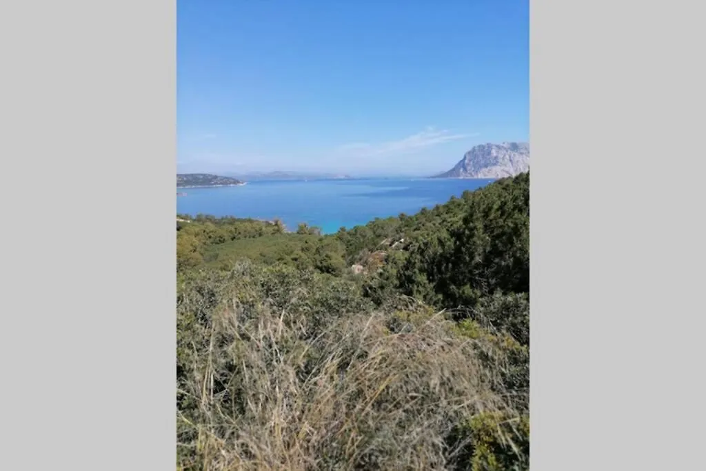 San Teodoro - Casa Le Tre Spighe Villa